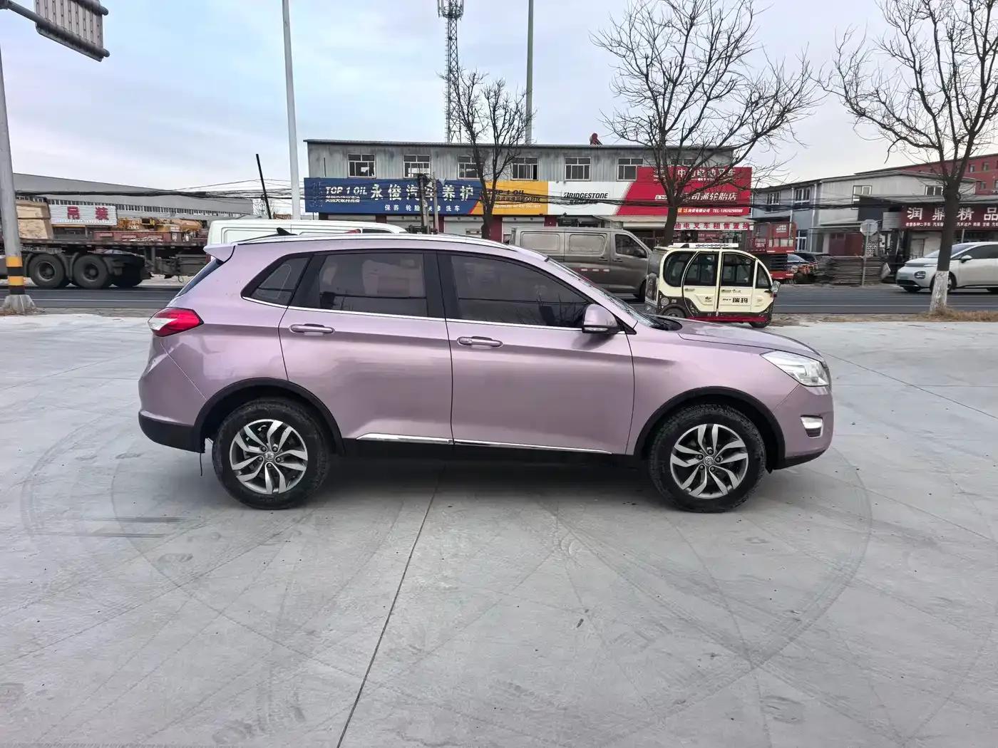 2015 Senova X65 2.0T Automatic Elite — миниатюра 9
