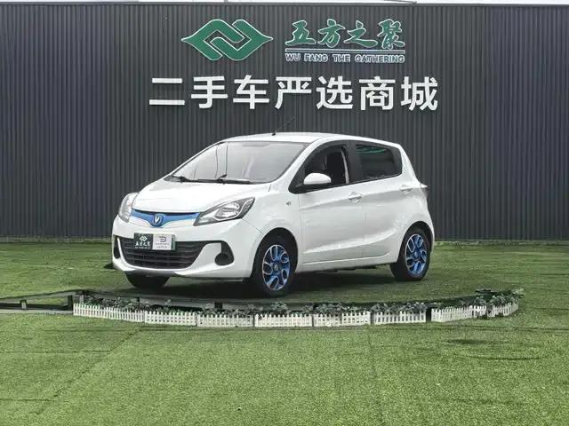 Benben EV 2019 EV360 Standard Edition