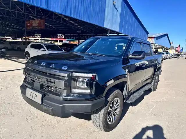 Dadao 2024 Mountain Edition 2.3T Diesel Automatic 4WD Standard Wheelbase Comfort Model