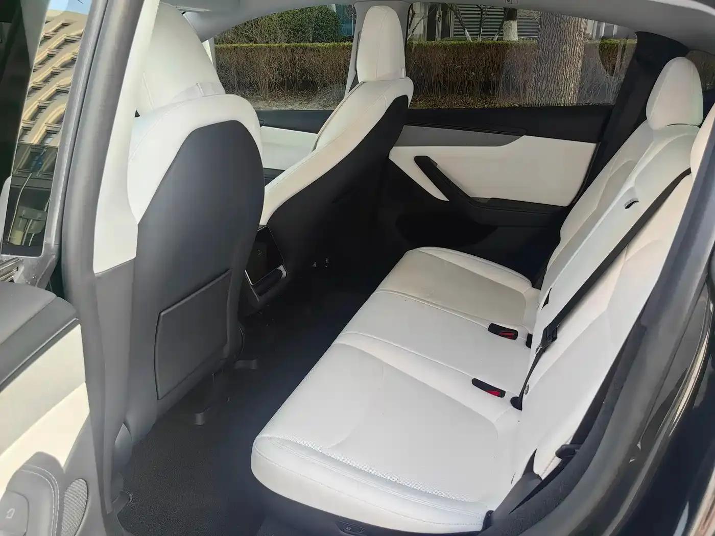 Model Y 2025 Rear-Wheel Drive First Edition — миниатюра 18
