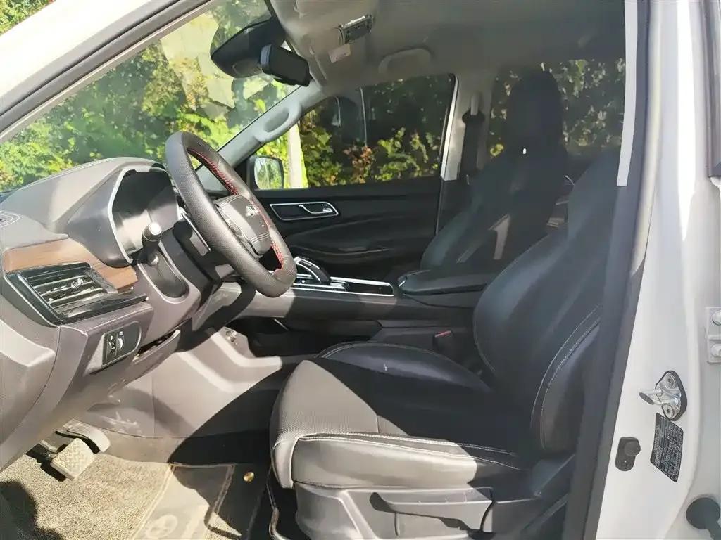 Territory Tiger 9 2019 2.0T Automatic Gasoline Two-Wheel Drive Comfort Edition — миниатюра 8