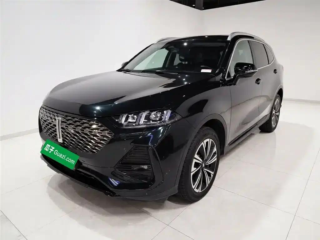 Wei Brand Latte DHT 2022 Model 1.5T DHT Medium Cup — миниатюра 2