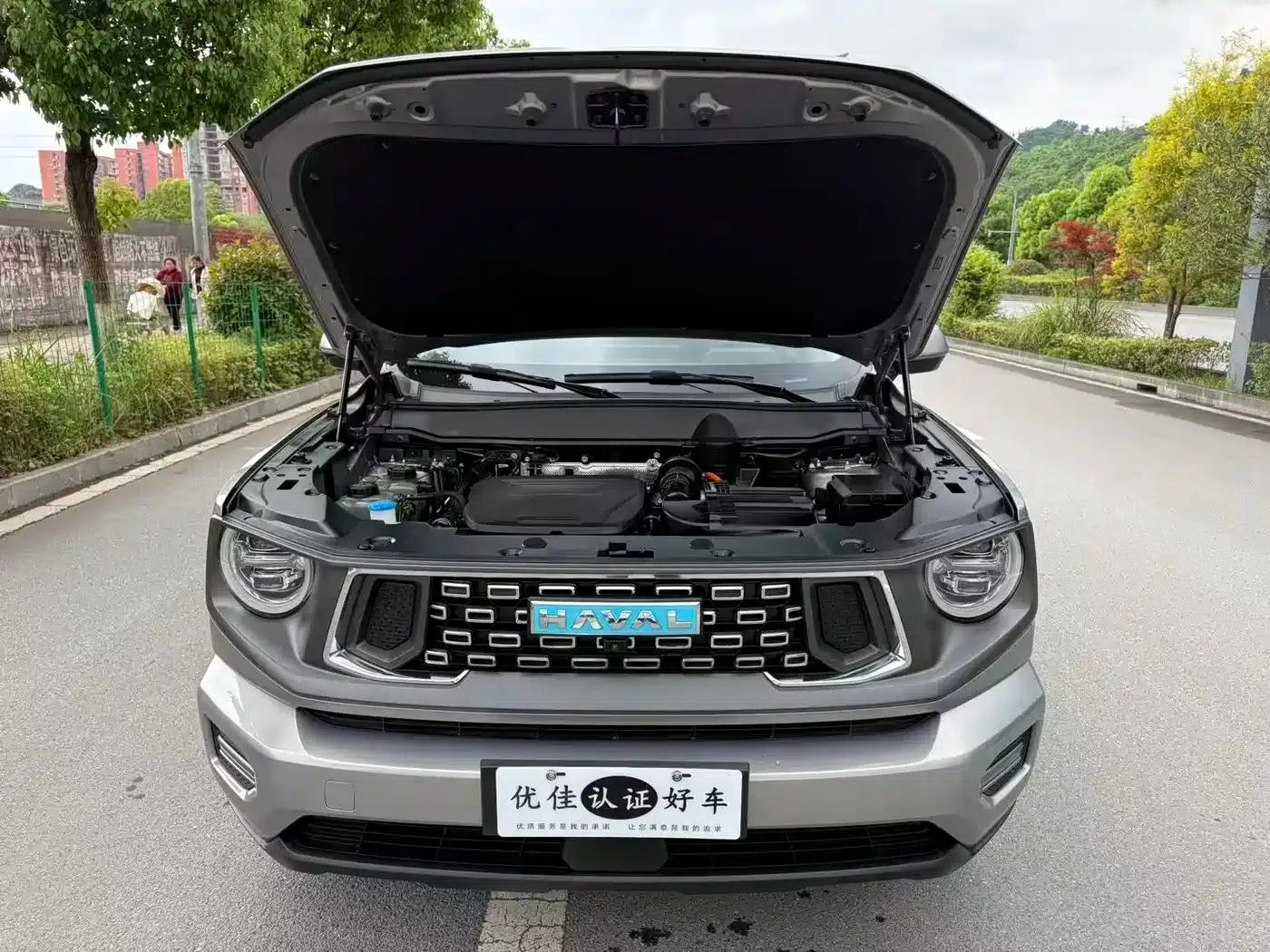 Haval Big Dog PLUS New Energy 2023 DHT-PHEV 105km Trendy Electric Edition — миниатюра 8