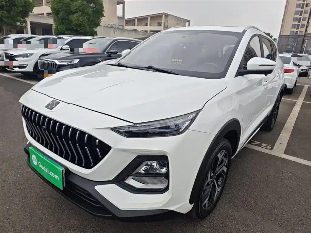 Sihao X8 2021 300T DCT Luxury Intelligent Connected Edition 7-seater — миниатюра 1