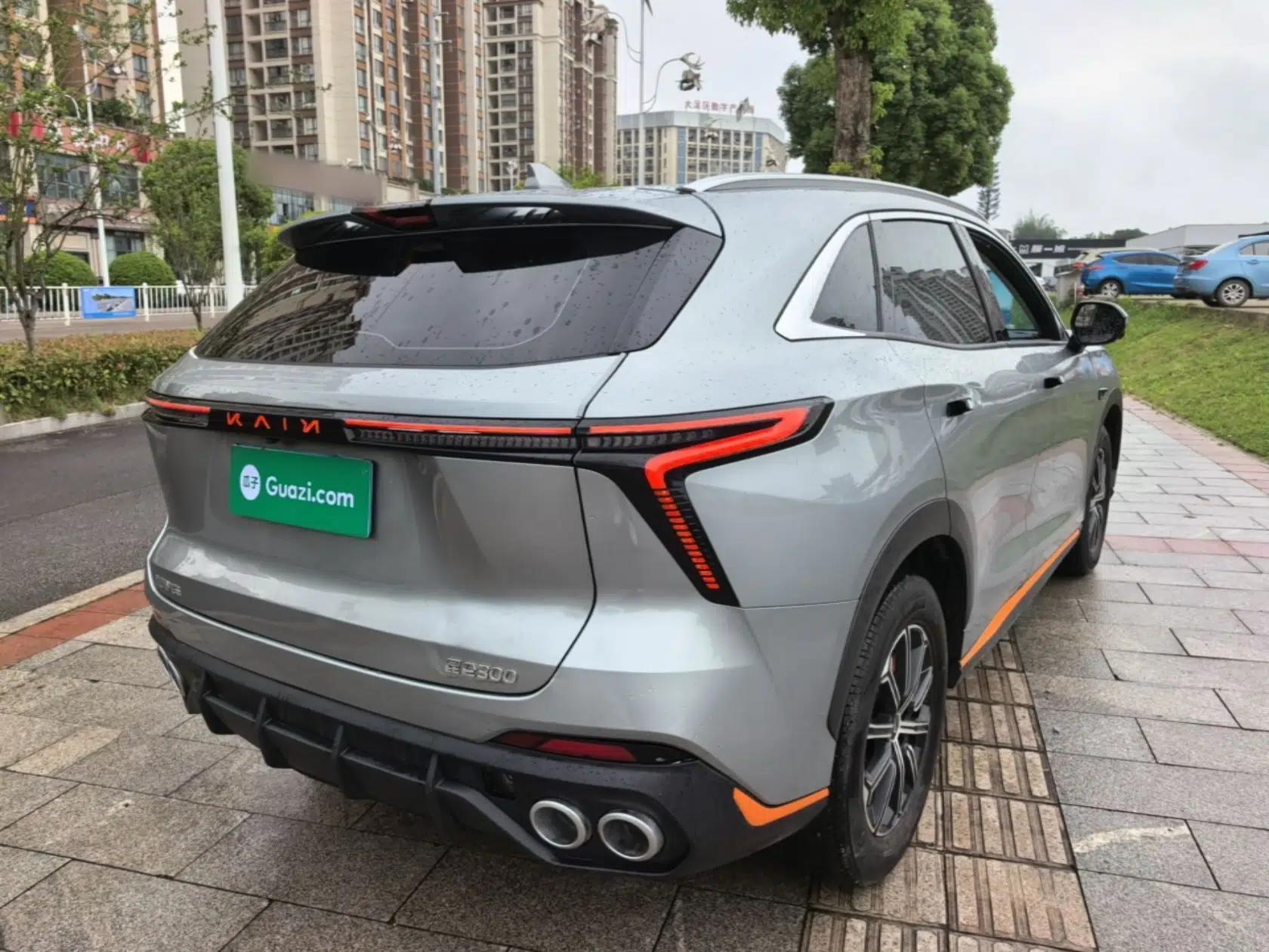 Cowin Kunlun 2023 Kunlun 300 Plateau Edition — миниатюра 6