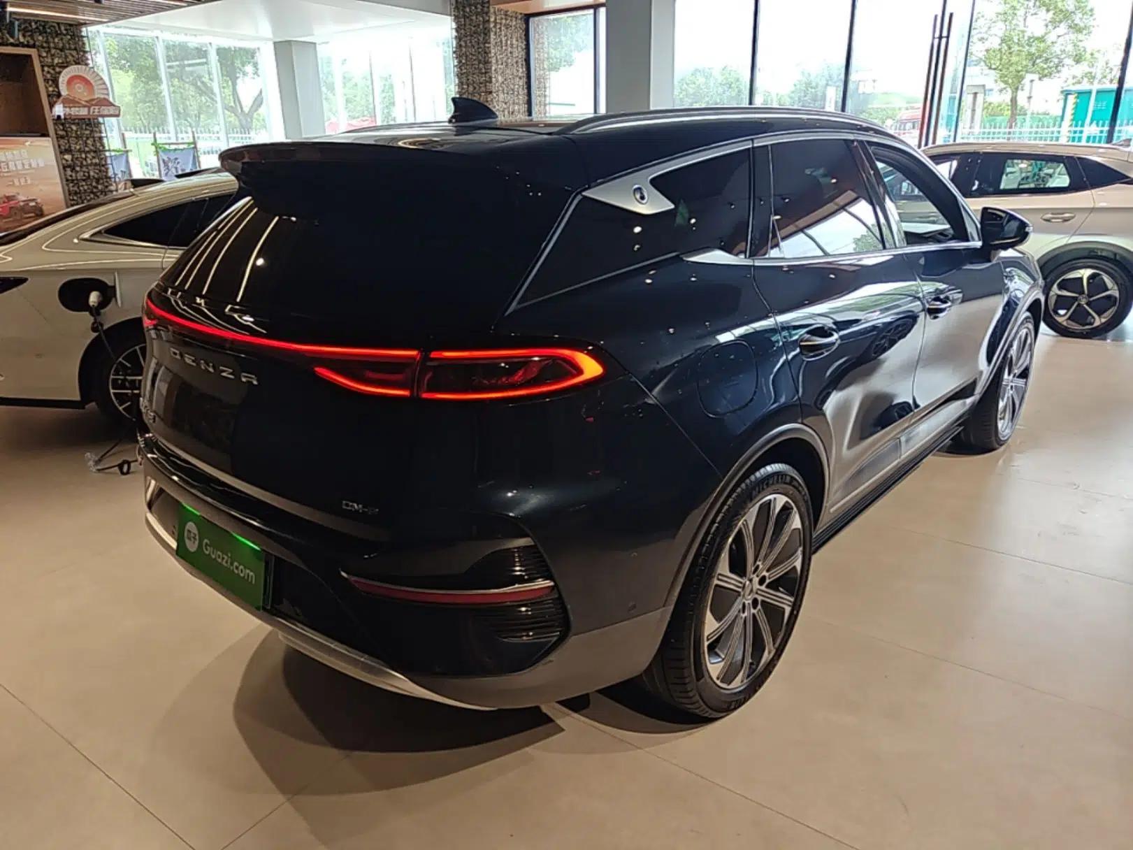 Denza N8 2023 Four-Wheel Drive Ultra-Hybrid Flagship Six-Seater Version — миниатюра 6