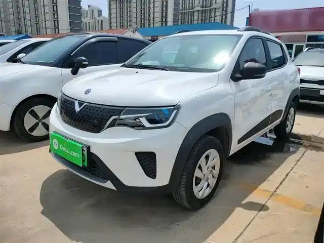 Venucia e30 2021 Elite Edition