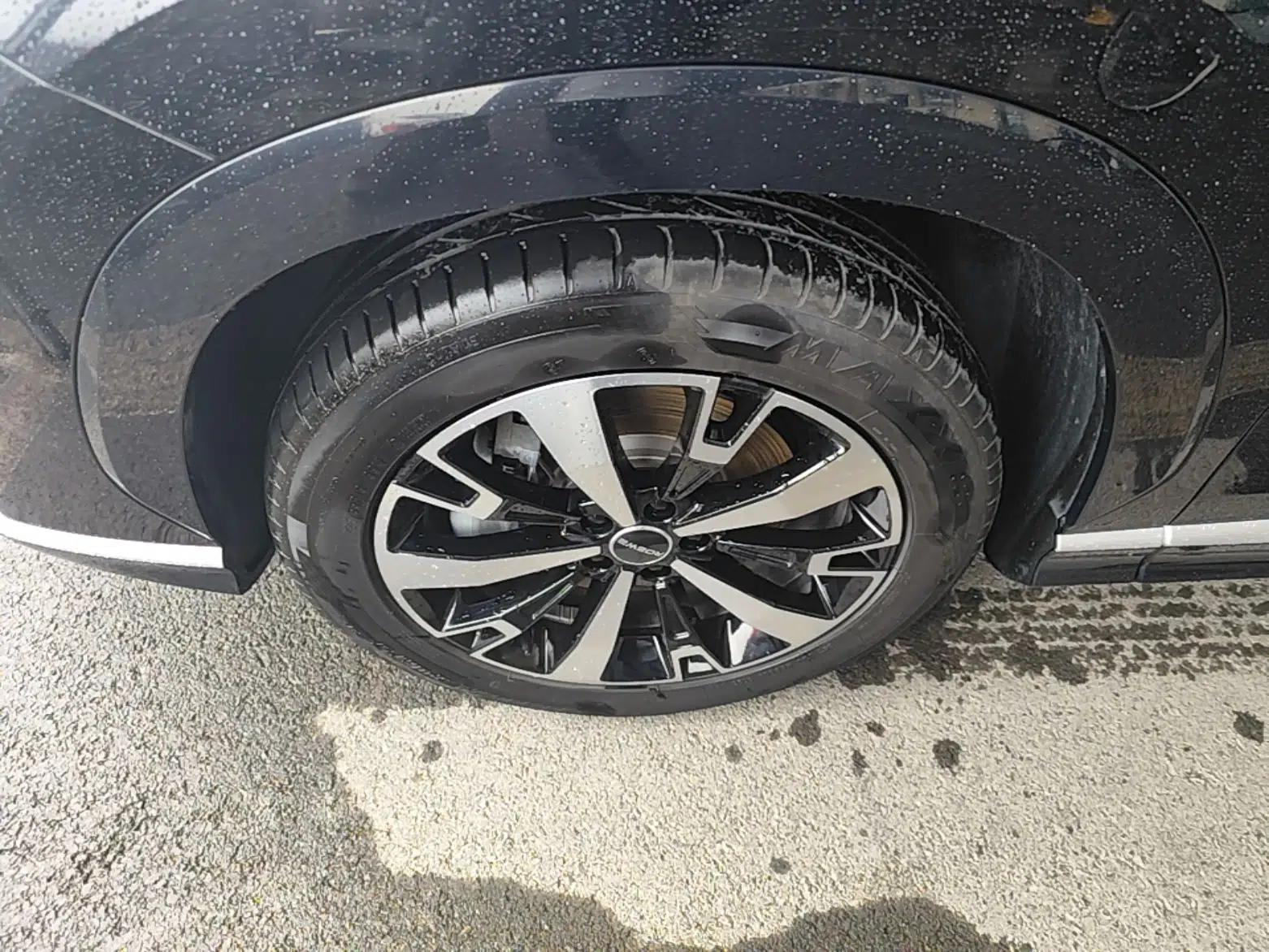 Roewe D5X DMH 2024 135 Tech Edition — миниатюра 9