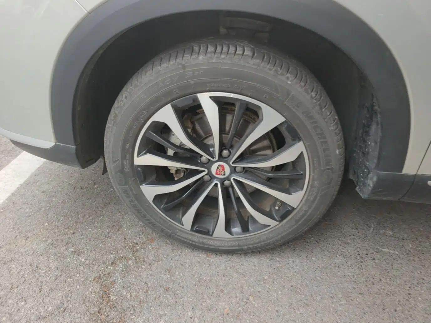 Roewe RX5 eMAX 2020 500 PHEV 4G-Connected Luxury Edition — миниатюра 8