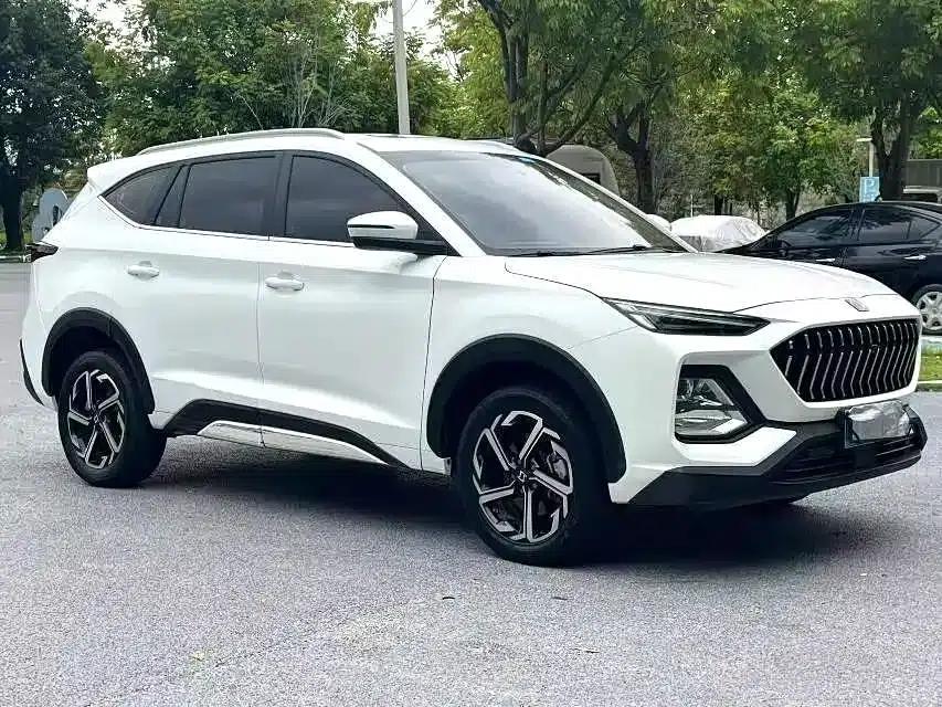 Sihao X8 2021 Facelift 300T DCT Luxury Intelligent Connected Edition 6-Seater — миниатюра 3