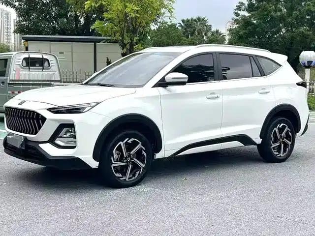 Sihao X8 2021 Facelift 300T DCT Luxury Intelligent Connected Edition 6-Seater