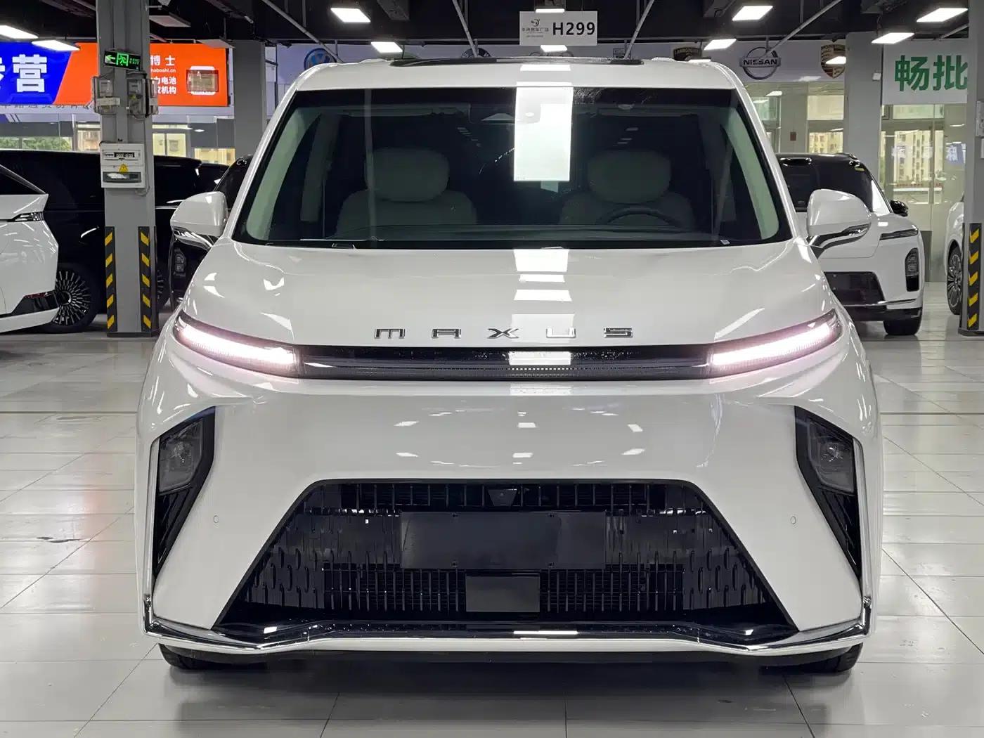 Everyone 9 2025 Super Hybrid Long Range Forest Edition 7-Seater — миниатюра 2