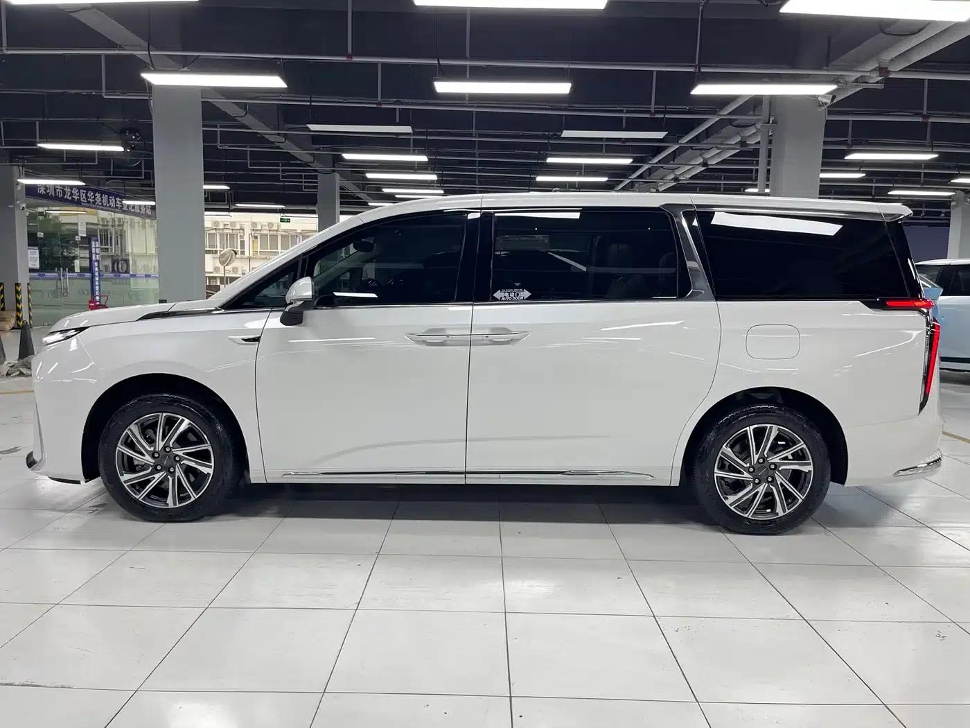 Everyone 9 2025 Super Hybrid Long Range Forest Edition 7-Seater — миниатюра 12