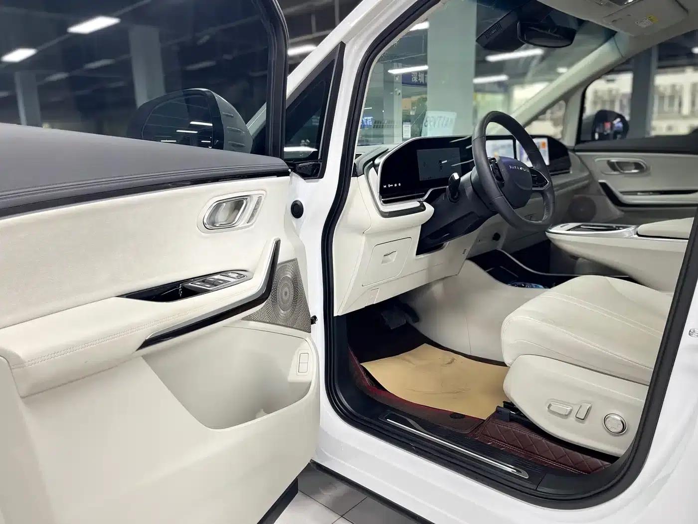 Everyone 9 2025 Super Hybrid Long Range Forest Edition 7-Seater — миниатюра 4