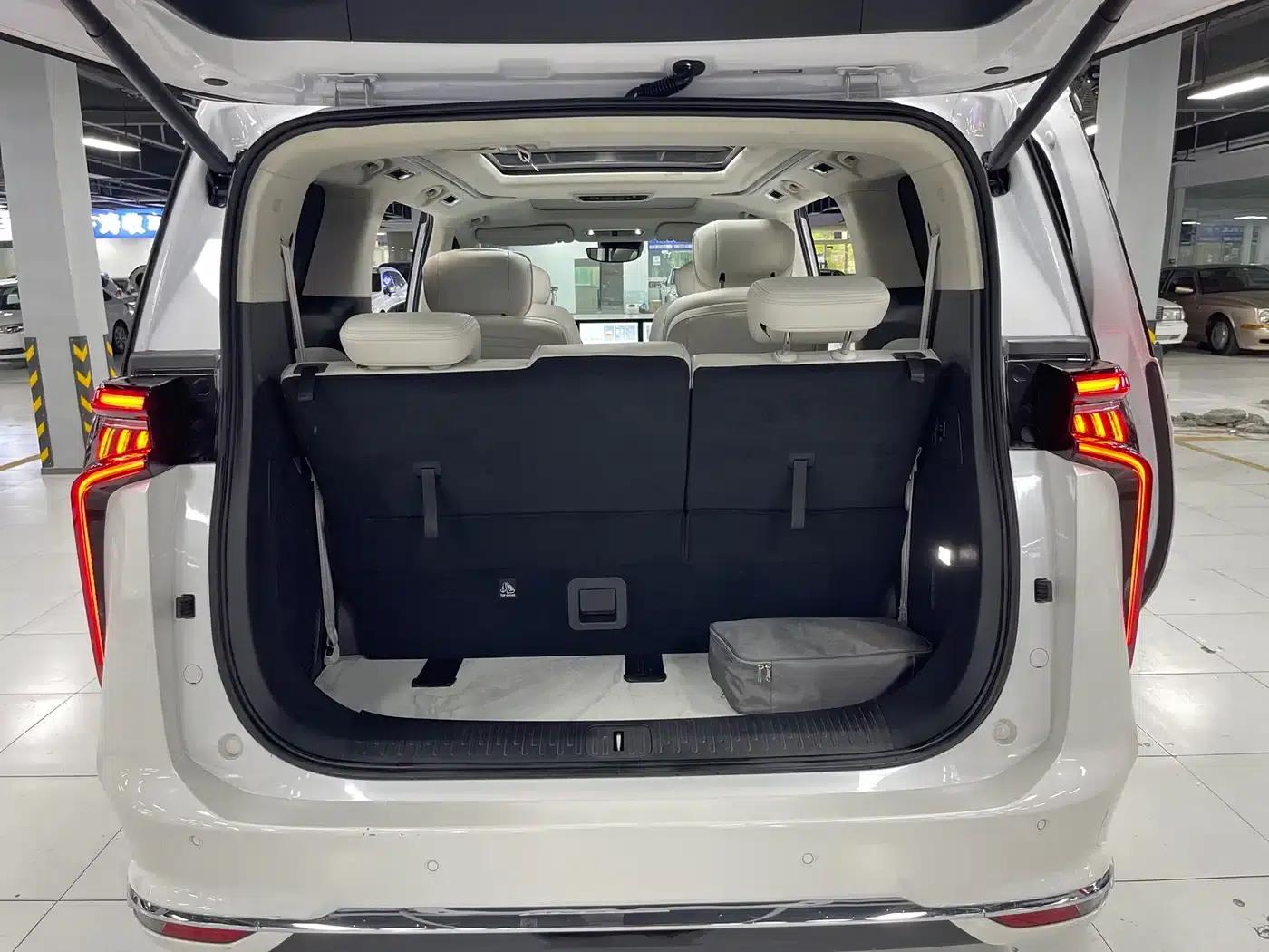 Everyone 9 2025 Super Hybrid Long Range Forest Edition 7-Seater — миниатюра 10