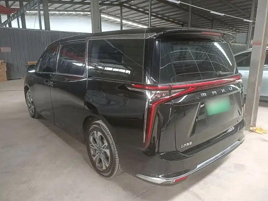 Everyone 9 2022 Long Range Oasis 7-Seater Edition — миниатюра 5