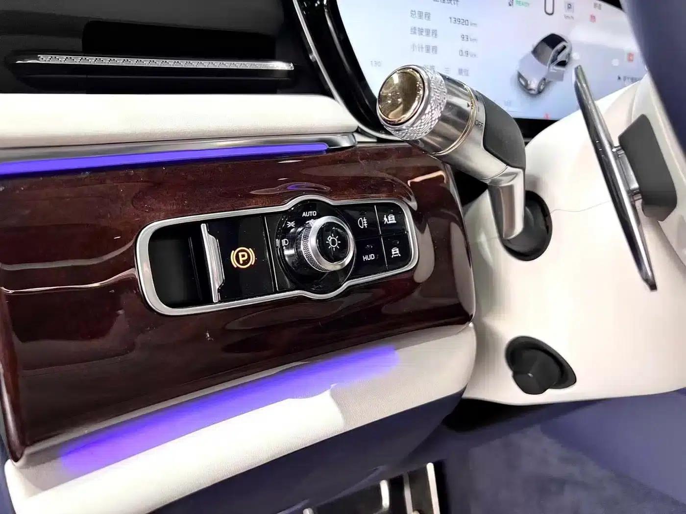 Hongqi Golden Sunflower Elegant 2024 Model 4.0T V8 — миниатюра 18