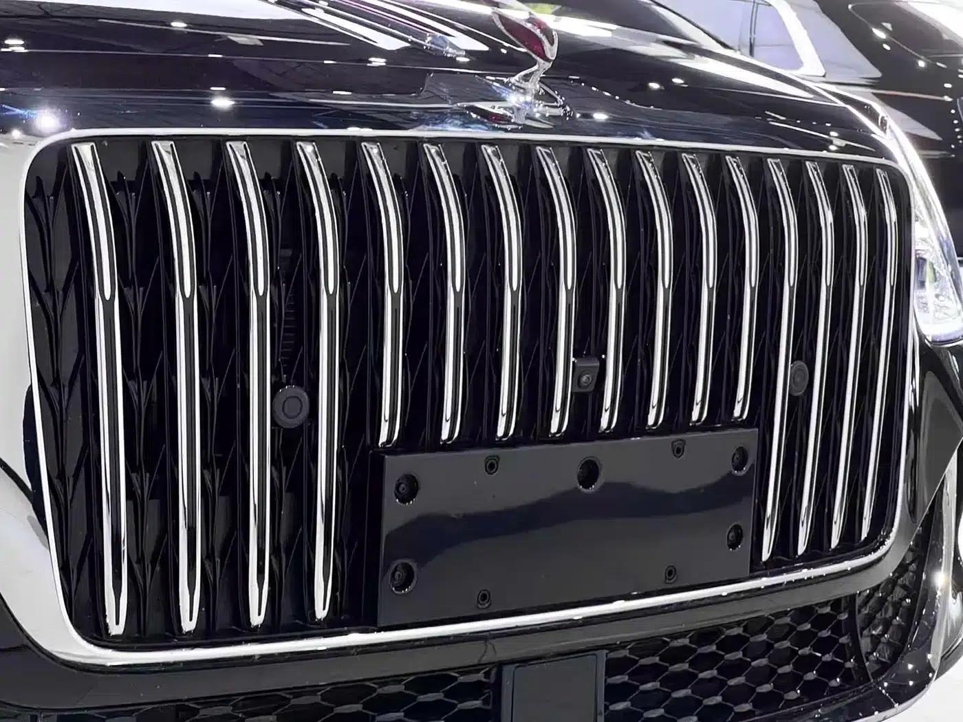 Hongqi Golden Sunflower Elegant 2024 Model 4.0T V8 — миниатюра 10