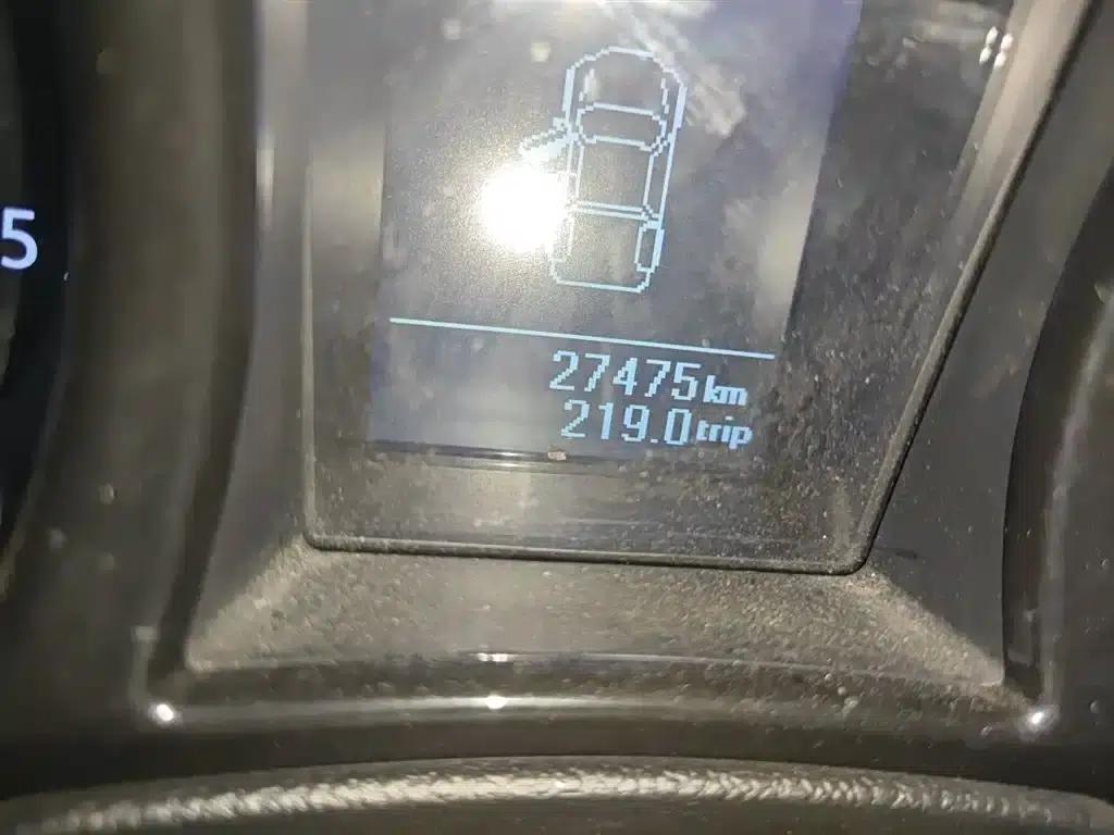 Territory Tiger 3 2018 2.5T Diesel 2WD Entry-Level Long Wheelbase — миниатюра 5