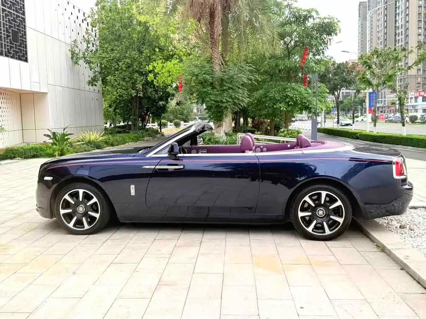 2018 Dawn 6.6T Standard Edition — миниатюра 12