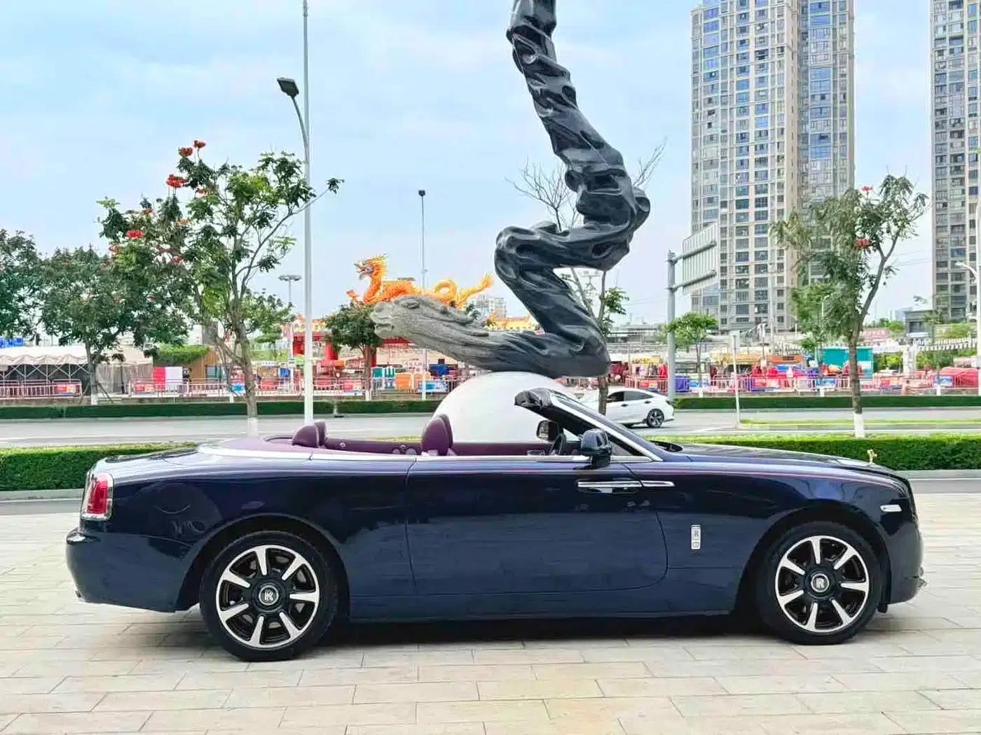 2018 Dawn 6.6T Standard Edition — миниатюра 14