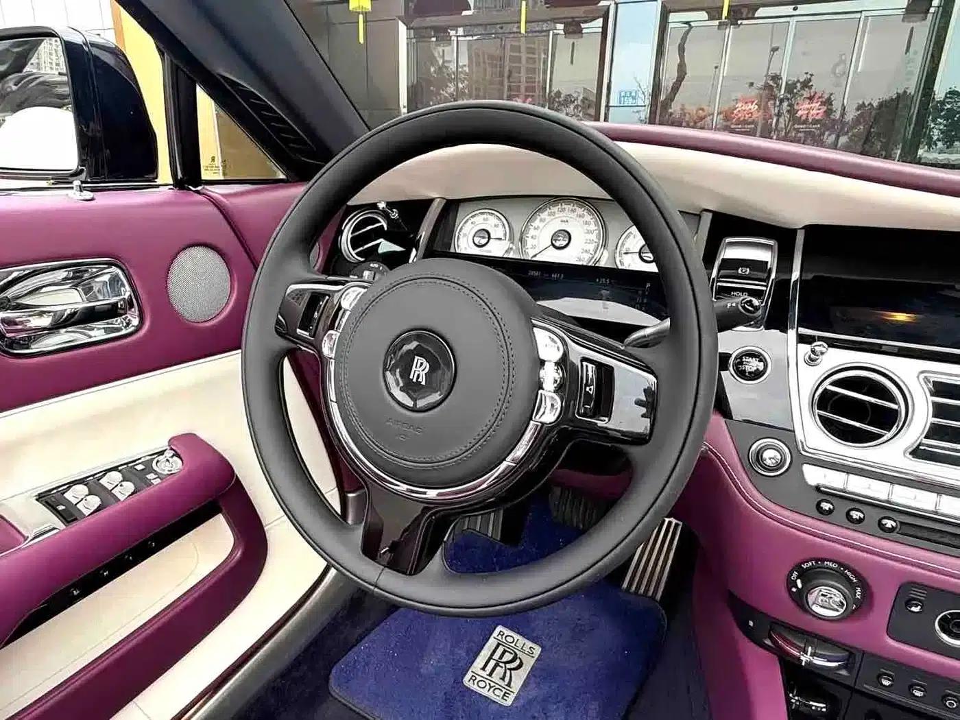 2018 Dawn 6.6T Standard Edition — миниатюра 6