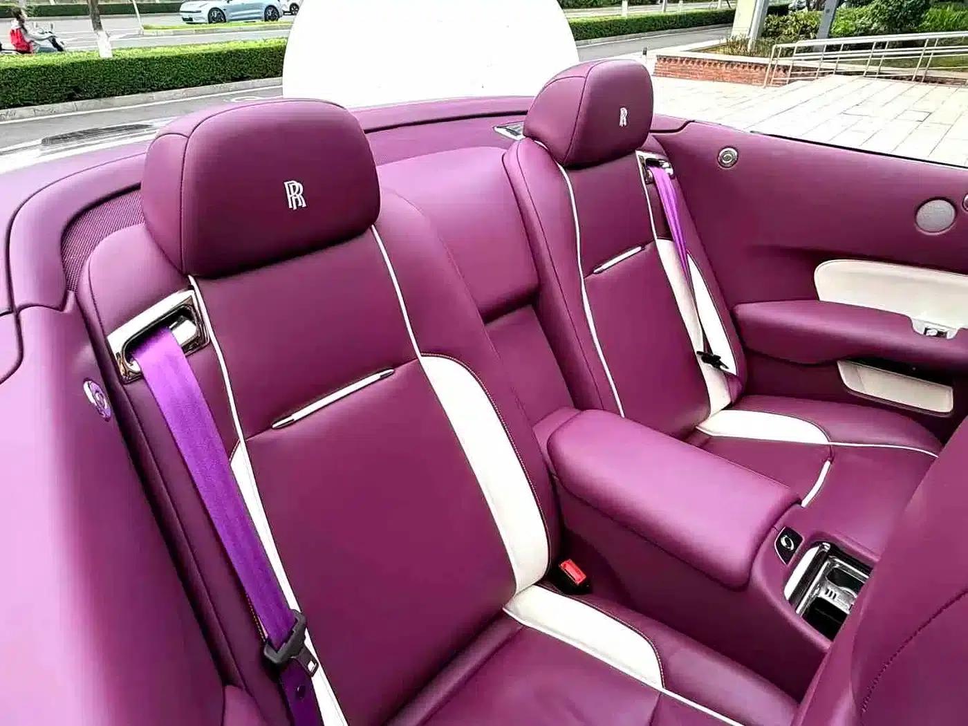 2018 Dawn 6.6T Standard Edition — миниатюра 7