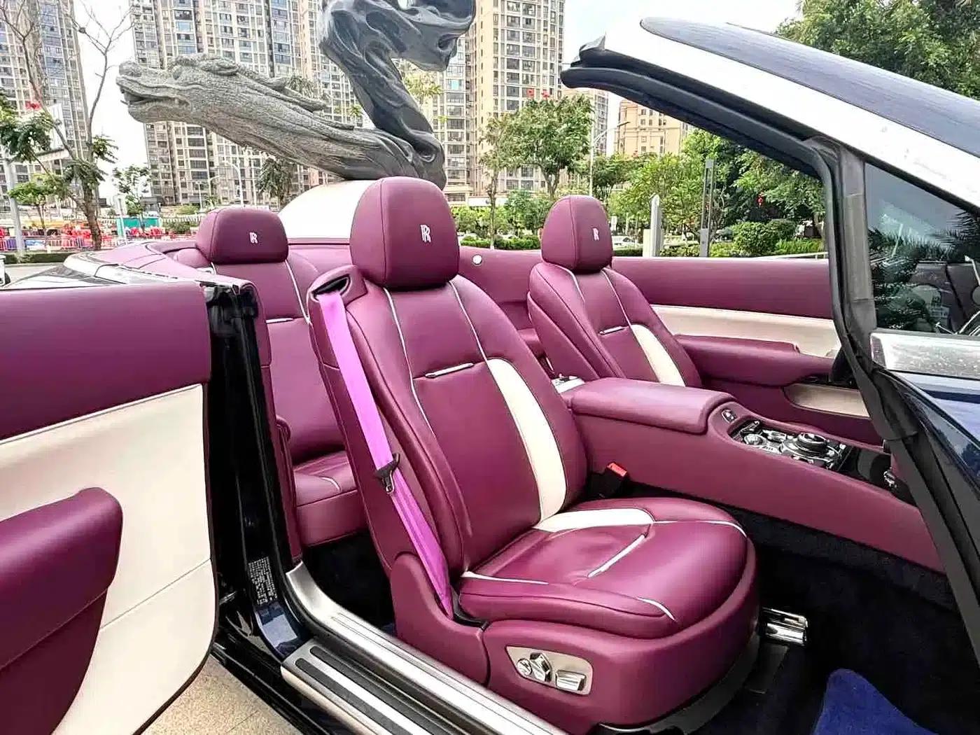 2018 Dawn 6.6T Standard Edition — миниатюра 9