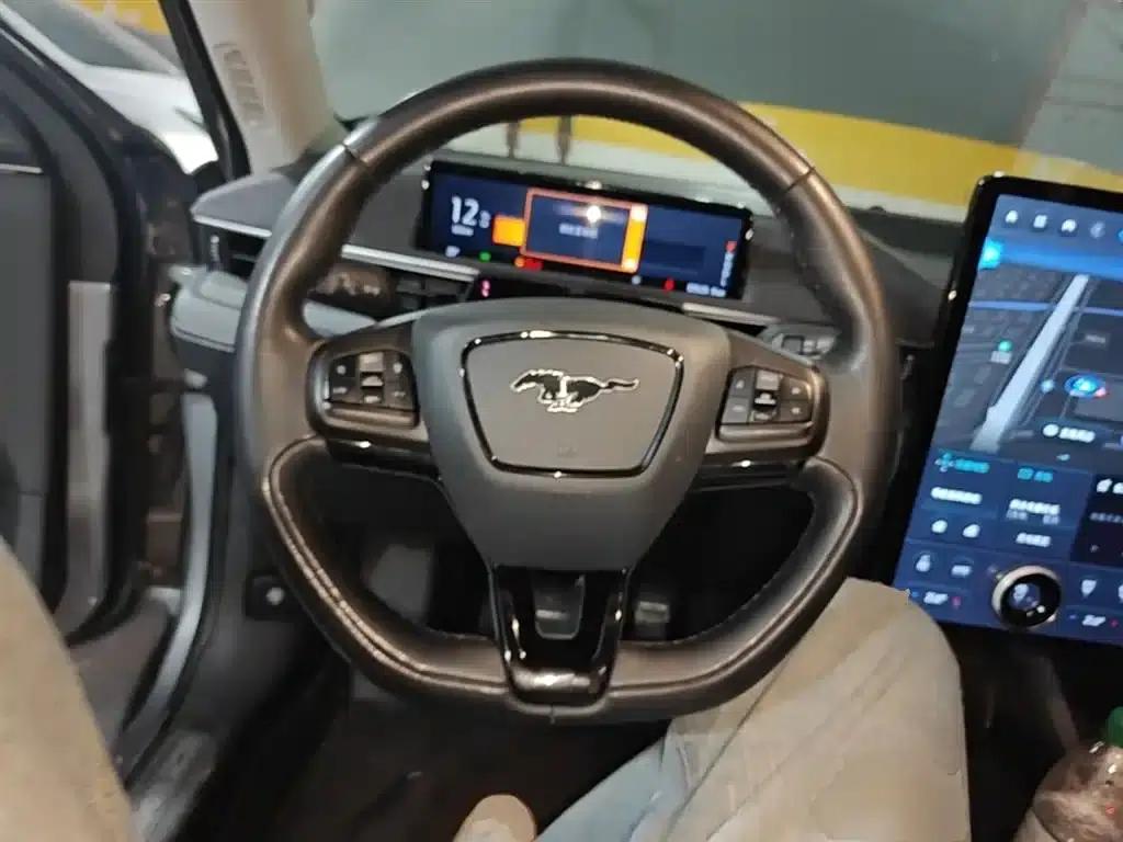 Ford eCar 2021 Model X Unlimited Rear-Wheel Drive Luxury Edition (Long Range) — миниатюра 11