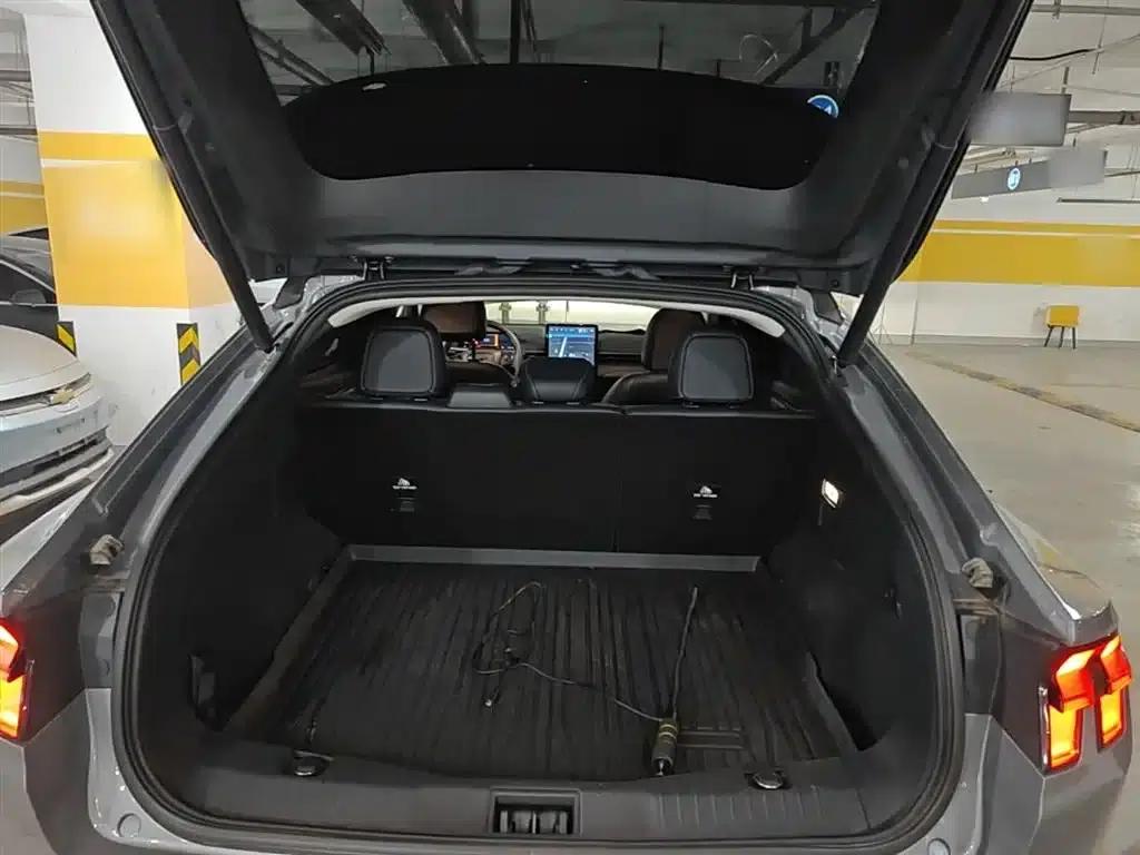 Ford eCar 2021 Model X Unlimited Rear-Wheel Drive Luxury Edition (Long Range) — миниатюра 19