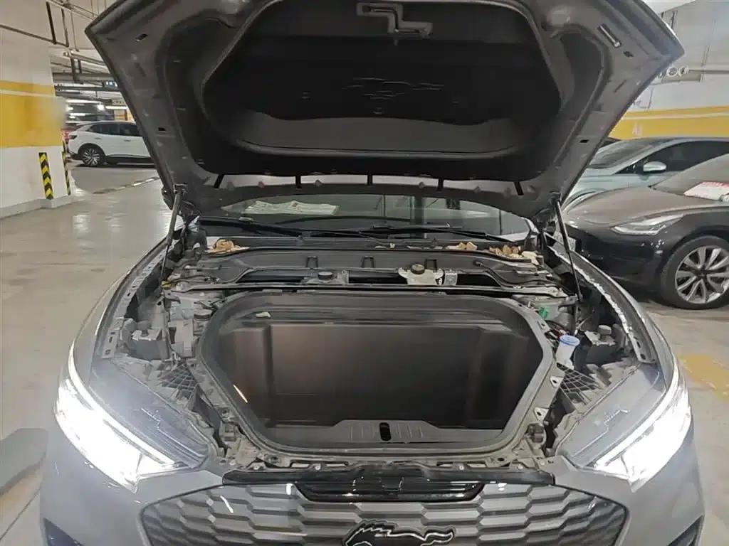 Ford eCar 2021 Model X Unlimited Rear-Wheel Drive Luxury Edition (Long Range) — миниатюра 20