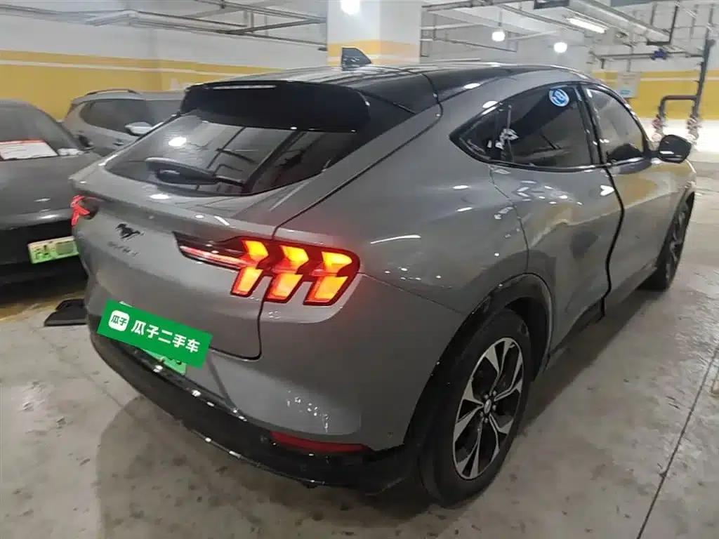 Ford eCar 2021 Model X Unlimited Rear-Wheel Drive Luxury Edition (Long Range) — миниатюра 7