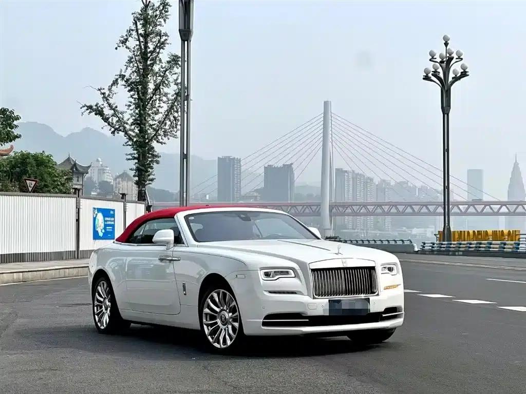 2018 Dawn 6.6T Standard Edition — миниатюра 3