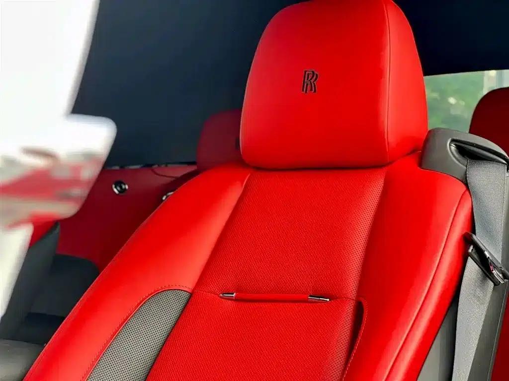 2018 Dawn 6.6T Standard Edition — миниатюра 8