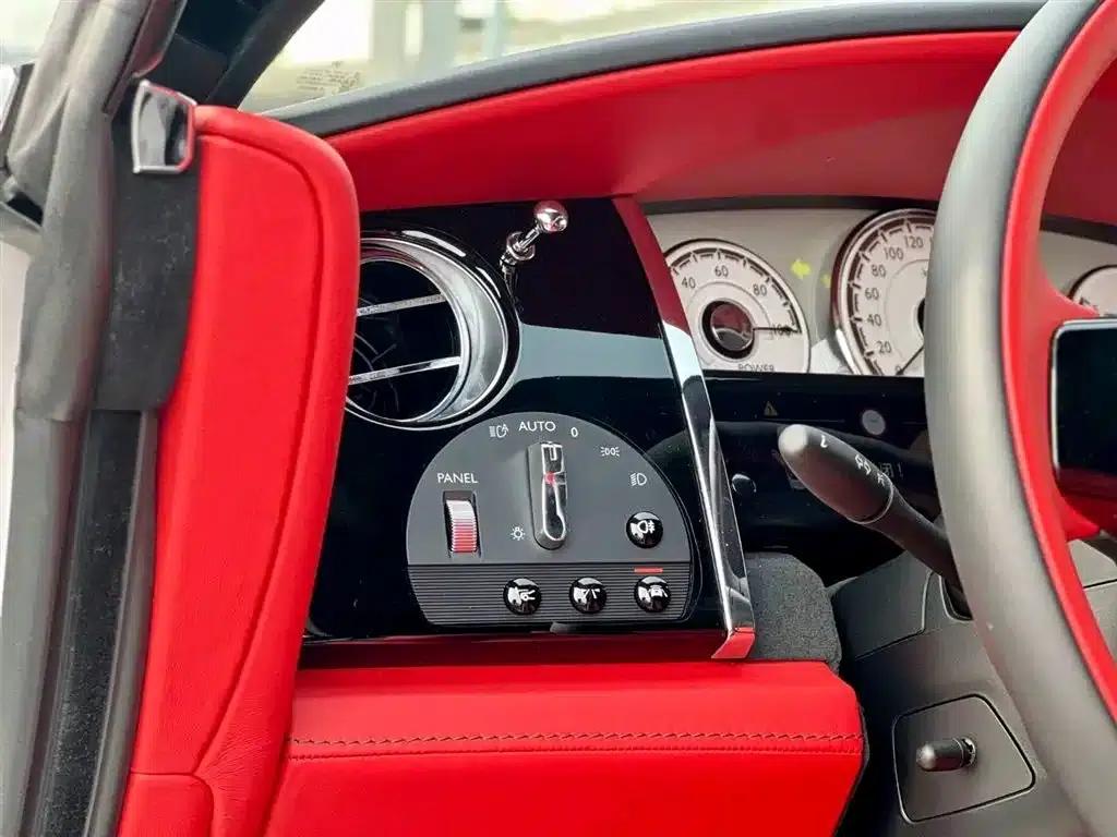 2018 Dawn 6.6T Standard Edition — миниатюра 10