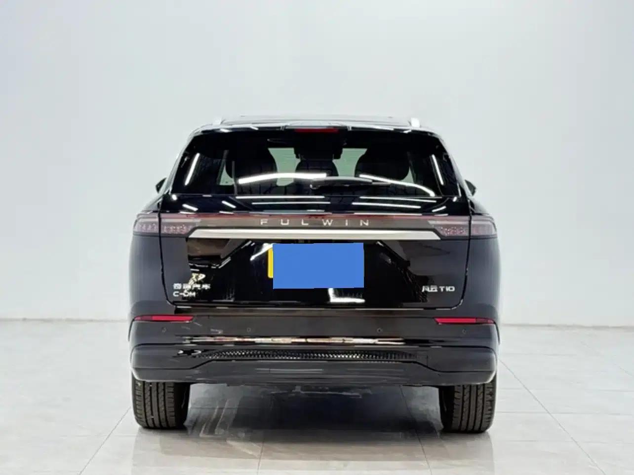 Fengyun T10 2024 Model 210 Luxury Edition — миниатюра 6