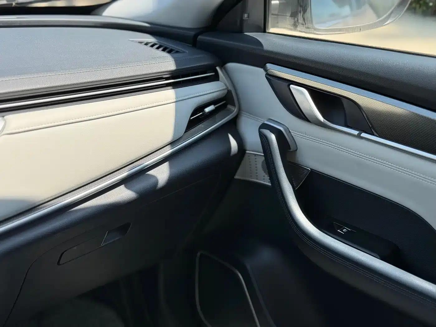 Weltmeister EX5 2019 EX5 Extra Innovation Edition 400 — миниатюра 11