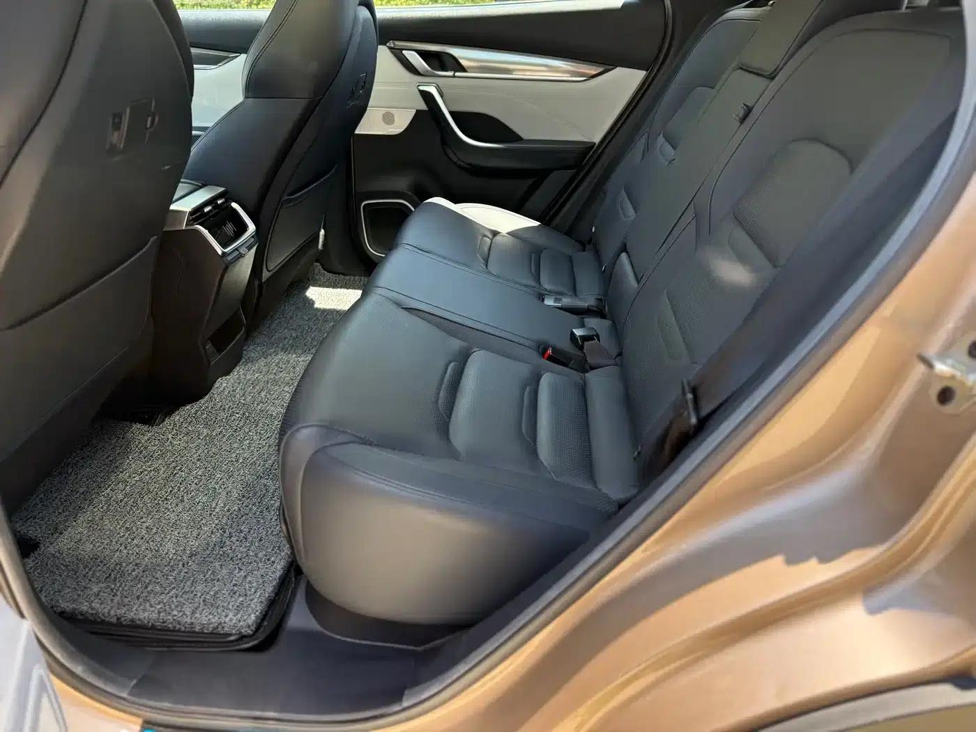 Weltmeister EX5 2019 EX5 Extra Innovation Edition 400 — миниатюра 5