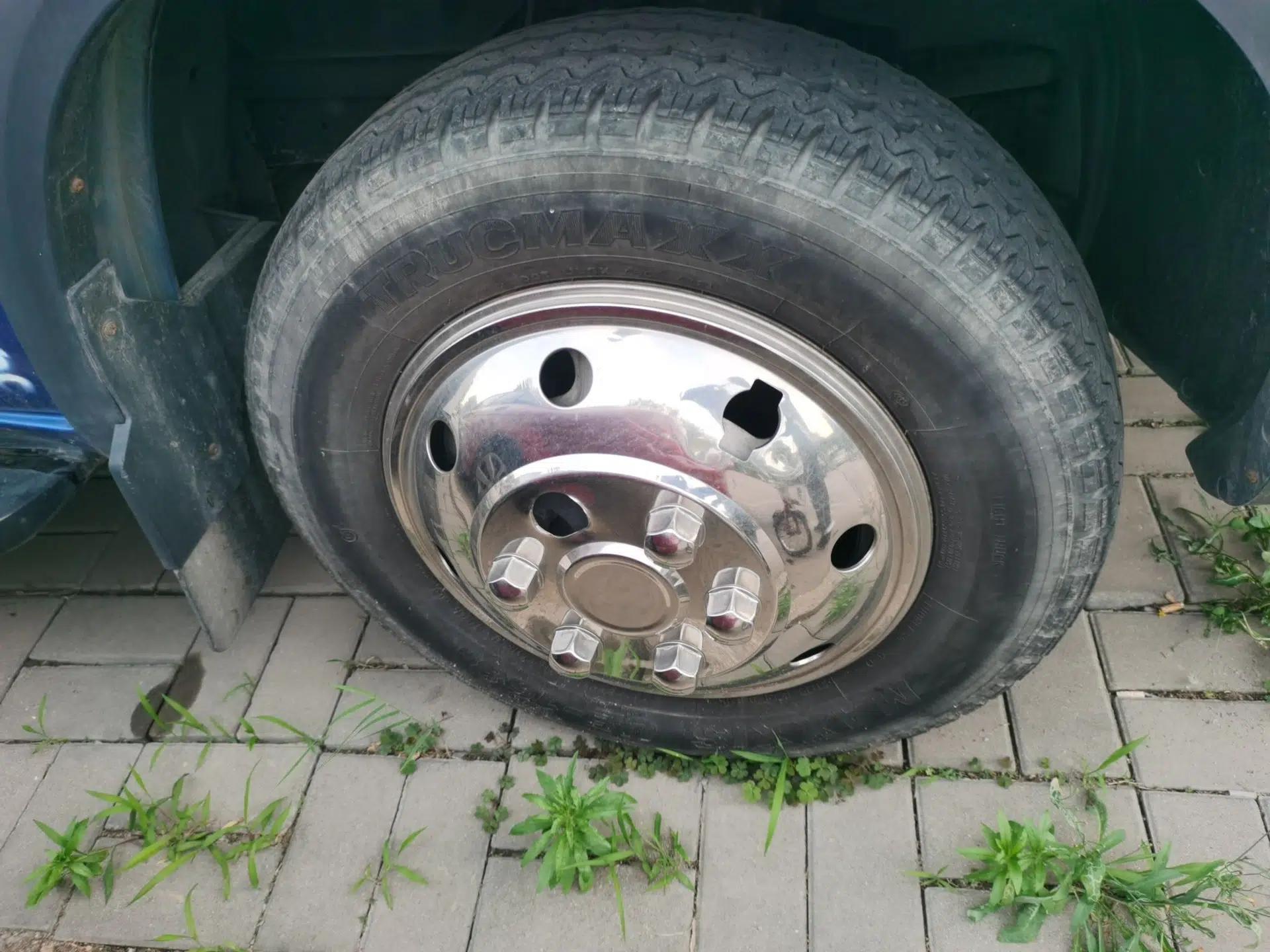 Used Iveco Eurocargo  — миниатюра 8