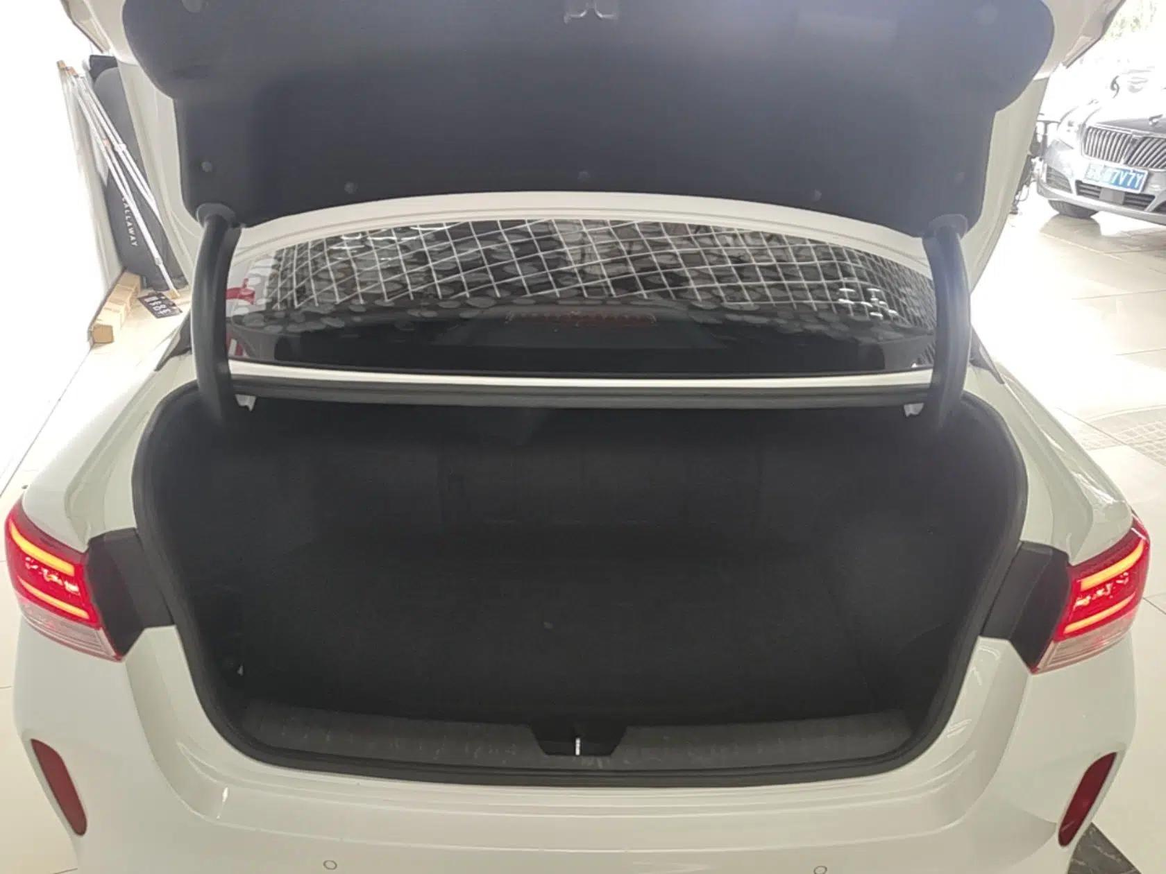 Used Kia K5 New Energy 2019 2.0L LUX — миниатюра 27