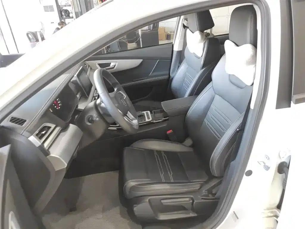 Qin 2019 1.5L Automatic Deluxe Edition — миниатюра 12