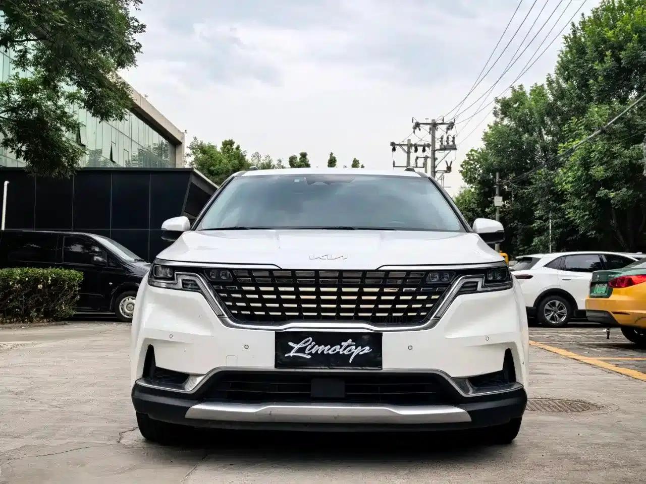 Carnival 2021 2.0T Luxury Technology Edition — миниатюра 2
