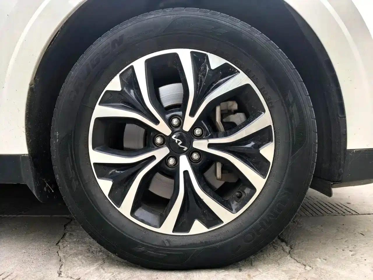Carnival 2021 2.0T Luxury Technology Edition — миниатюра 8