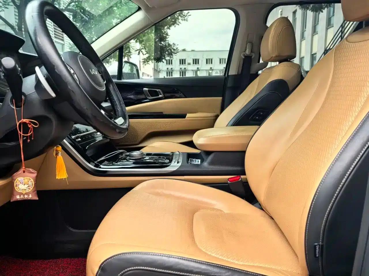 Carnival 2021 2.0T Luxury Technology Edition — миниатюра 10