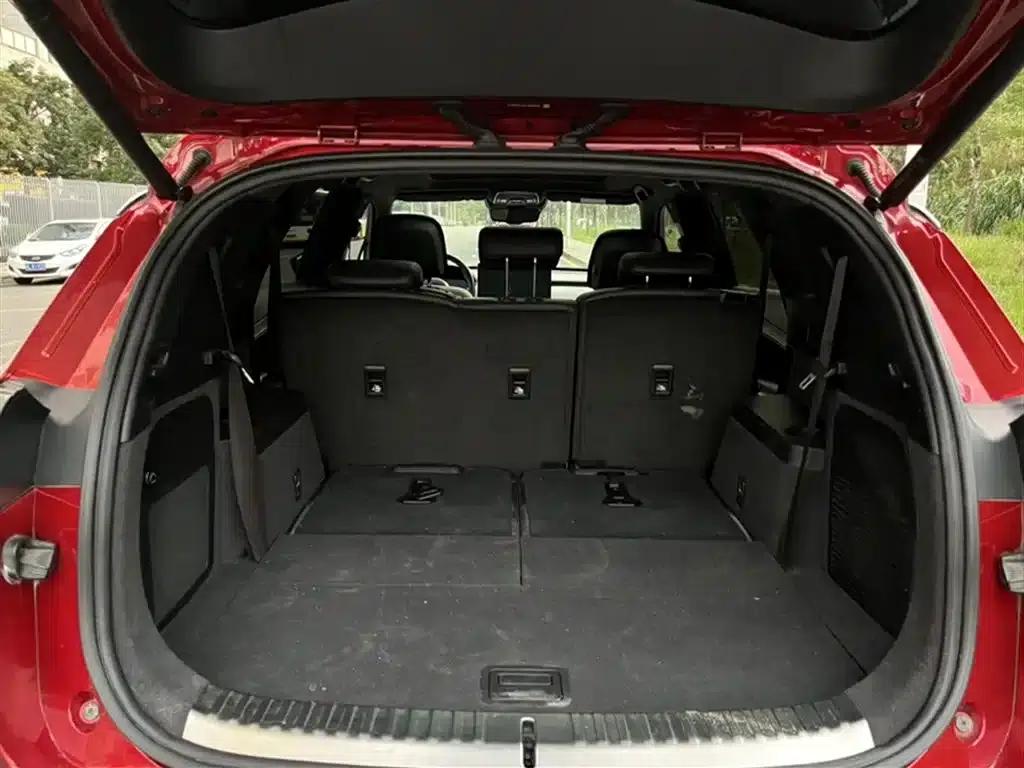 Denza X 2020 PHEV Flagship Edition — миниатюра 14