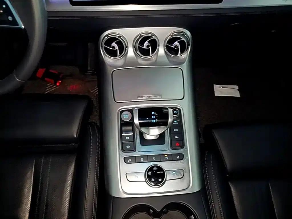 Denza X 2020 PHEV Flagship Edition — миниатюра 6
