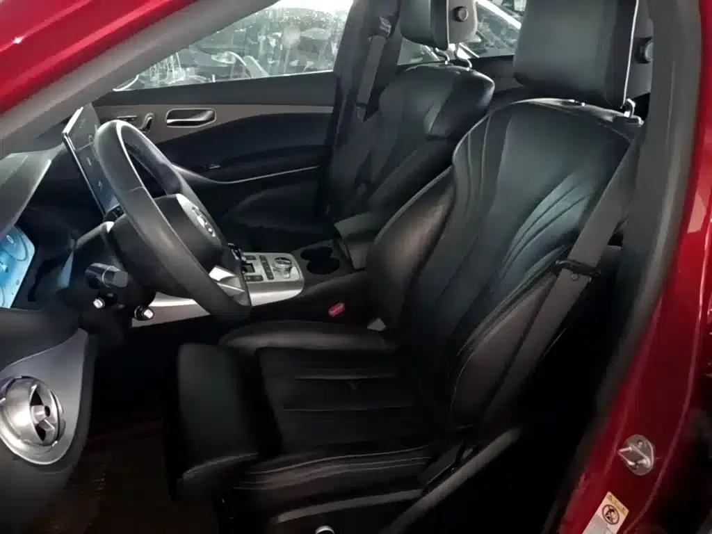 Denza X 2020 PHEV Flagship Edition — миниатюра 7