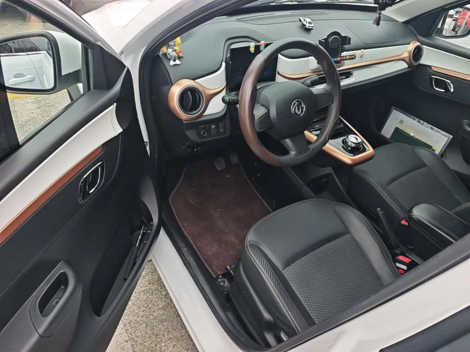 Used Dongfeng NAMMI BOX 2022 Revised Light Wind Edition 201 km Standard Version — миниатюра 18