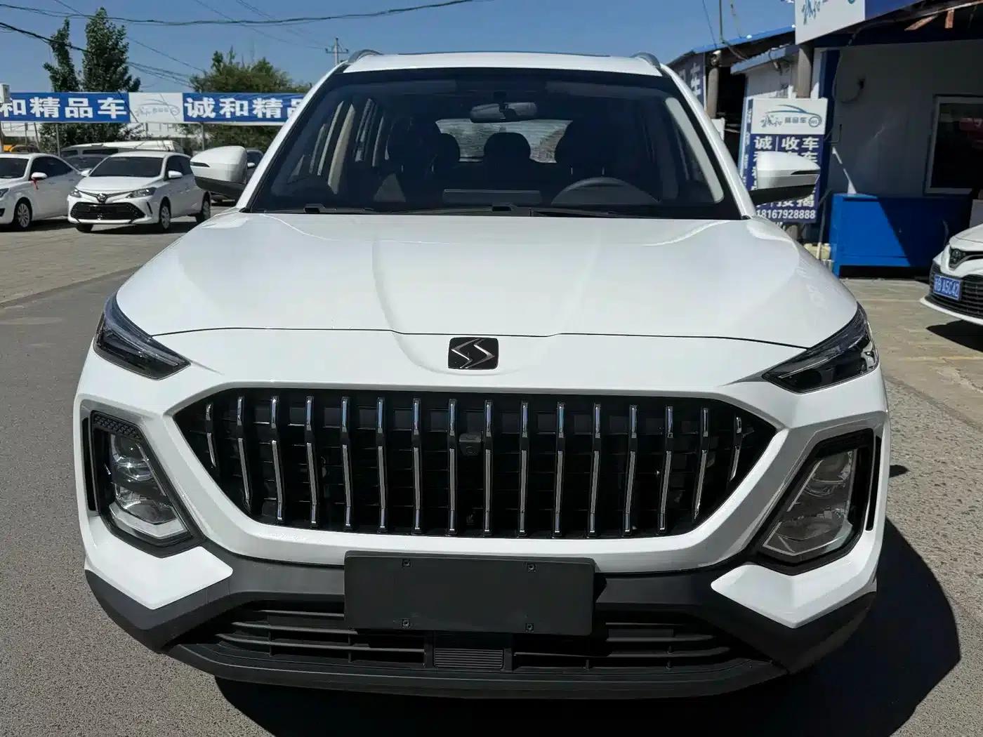 Sihao X8 2021 300T Manual Panoramic Luxury Edition 5-Seater — миниатюра 2
