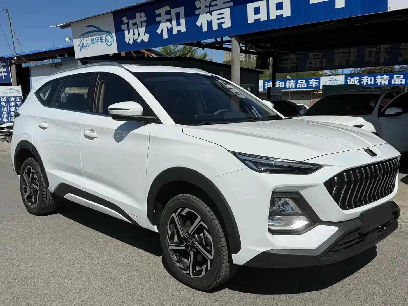 Sihao X8 2021 300T Manual Panoramic Luxury Edition 5-Seater — миниатюра 3